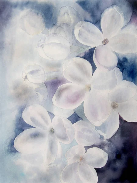 Fleurs lilas blanc - aquarelle . — Photo