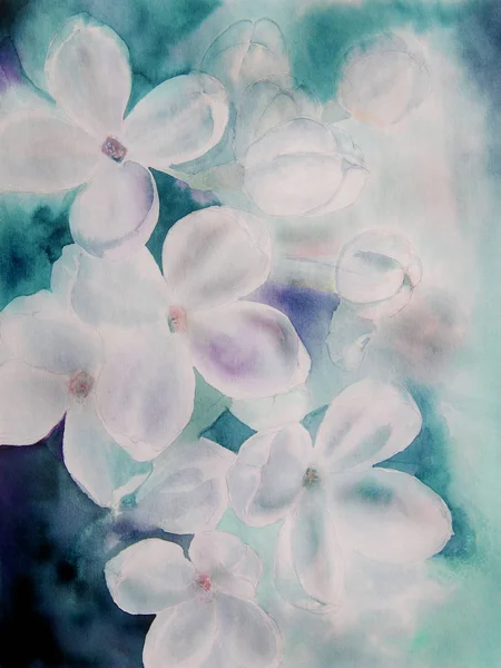 Fleurs lilas blanc - aquarelle . — Photo