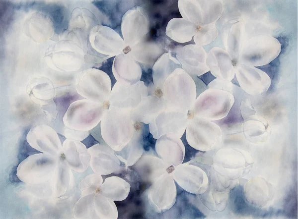 Blüten weißer Flieder - Aquarell. — Stockfoto