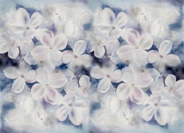 Fiori lilla bianca - acquerello . — Foto Stock