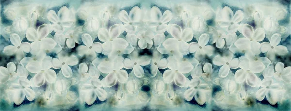 花は白いライラック - 水彩. — ストック写真