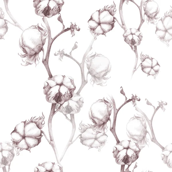 Cotton - stalk plants with seed pods. Seamless pattern. Wallpaper. — Stock Photo, Image