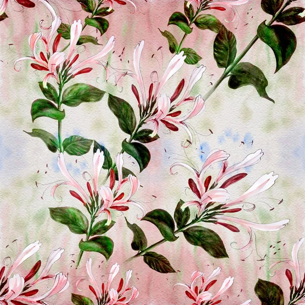 Sprig of honeysuckle. Watercolor. Seamless pattern. — Stock Photo, Image