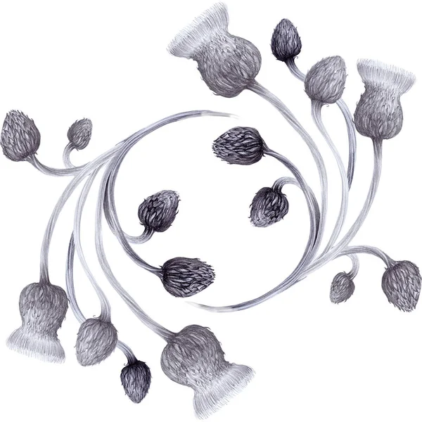 Oset. Streszczenie Tapety z motywami kwiatowymi. Jednolity wzór. Tapeta. — Zdjęcie stockowe
