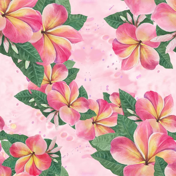 Цветы, листья и почки plumeria.Watercolor фона. Абстрактные обои с цветочными мотивами. Бесшовный шаблон. Обои . — стоковое фото