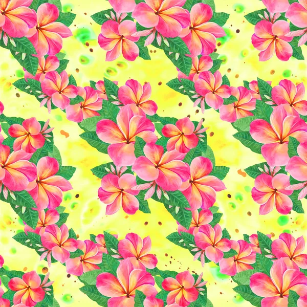 Flores, hojas y brotes de plumeria.Fondo acuarela. Fondo de pantalla abstracto con motivos florales. Patrón sin costuras. Fondos de pantalla . —  Fotos de Stock