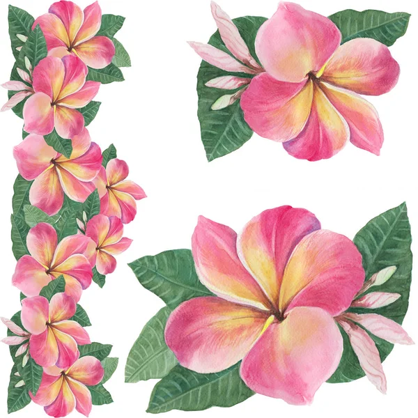 Fleurs, feuilles et bourgeons de plumeria.Fond aquarelle. Papier peint abstrait avec des motifs floraux . — Photo