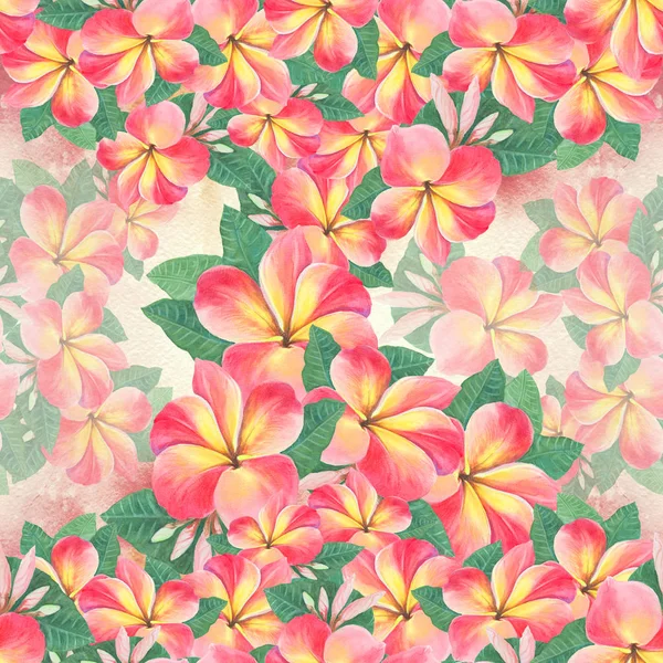 Цветы, листья и почки plumeria.Watercolor фона. Абстрактные обои с цветочными мотивами. Бесшовный шаблон. Обои . — стоковое фото