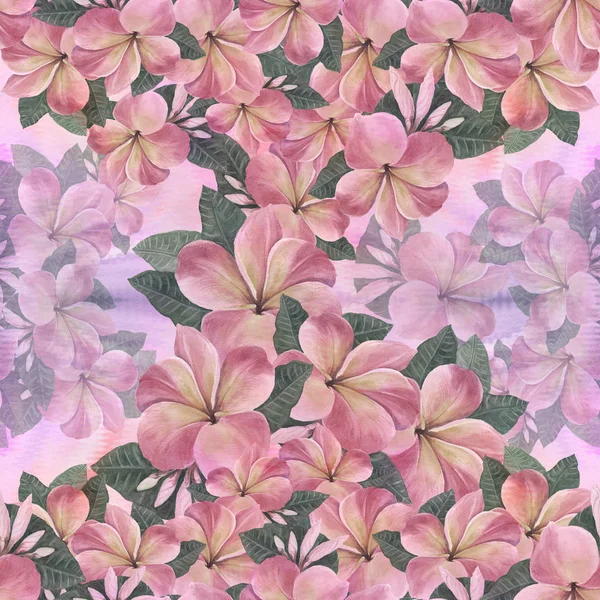 Blommor, blad och knoppar av plumeria. Akvarell bakgrunden. Abstrakt tapet med blommotiv. Seamless mönster. Tapeter. — Stockfoto