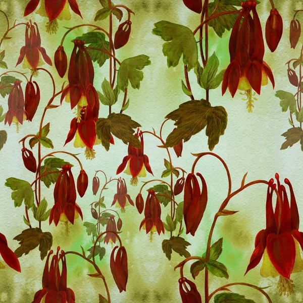 Fleurs, bourgeons et feuilles - dessin par aquarelle. Aquilegia.Aquarelle de fond. Papier peint abstrait avec des motifs floraux. Modèle sans couture . — Photo