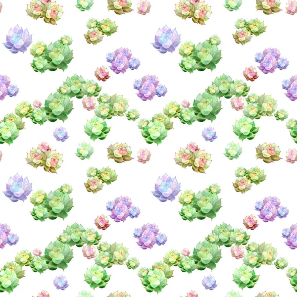 Succulents - watercolor drawing. Decorative composition. Seamless pattern.Abstract background image. — Stock Photo, Image