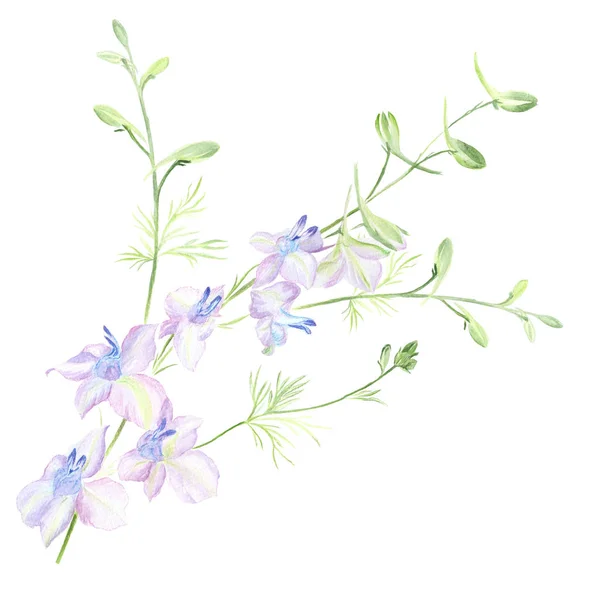 Summer flowers on a watercolor background. — Stock Photo, Image