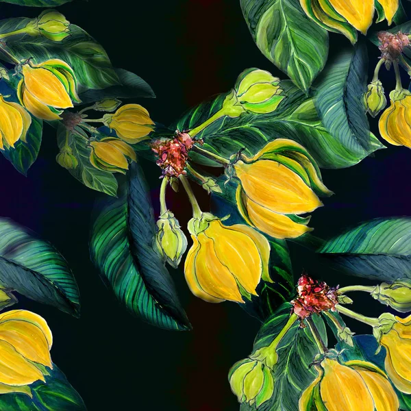 Ylang-ylang. Pittura ad acquerello medicinali, profumeria e piante cosmetiche. Modello senza cuciture . — Foto Stock