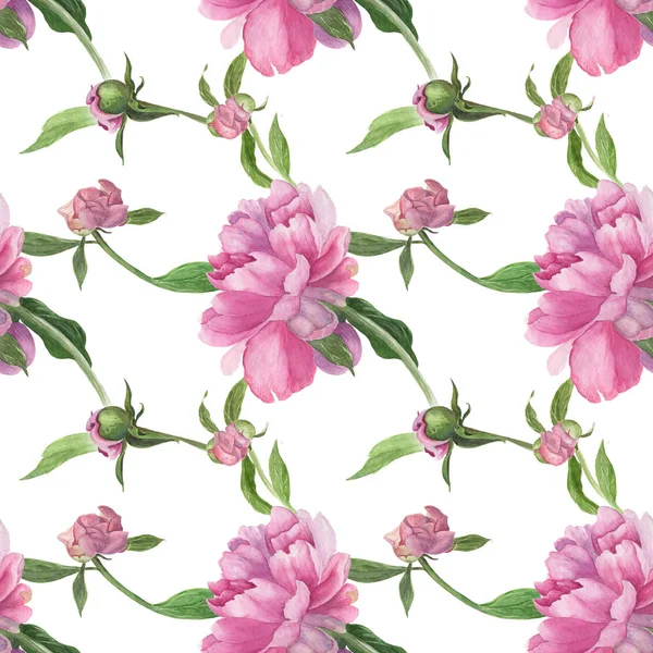 Aquarel. Collage van bloemen en bladeren op een witte achtergrond. Bloemen en knoppen van een roze pioen. Decoratieve compositie op een aquarel achtergrond. Naadloze patroon. — Stockfoto