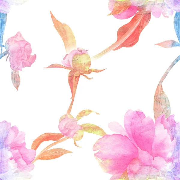 수채화입니다. 꽃과 흰색 배경에 나뭇잎 콜라주 꽃과 핑크 작 약의 꽃 봉 오리입니다. 수채화 배경 장식 구성입니다. 원활한 패턴. — 스톡 사진