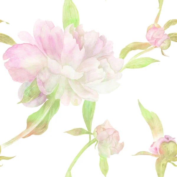 Akvarell. Collage av blommor och blad på en vit bakgrund. Blommor och knoppar av en rosa pion. Dekorativa sammansättning på en akvarell bakgrund. Seamless mönster. — Stockfoto