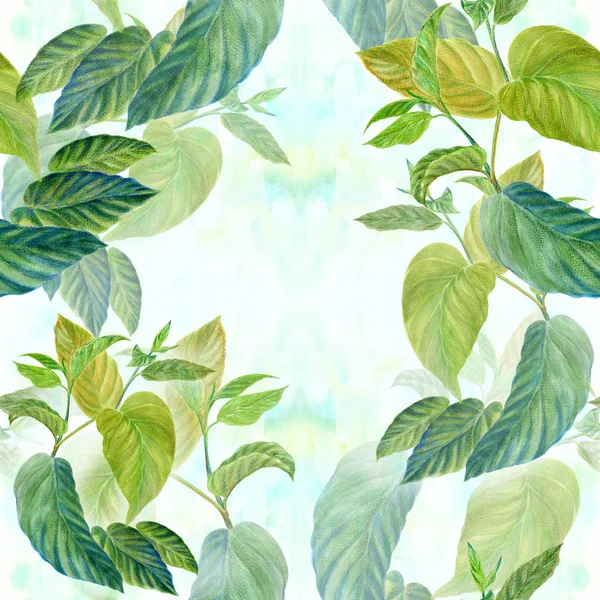Zweig mit exotischen Blättern. Aquarellmalerei Heil-, Parfümerie- und Kosmetikpflanzen. — Stockfoto