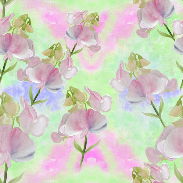 Branch with flowers - sweet peas.Seamless pattern. Watercolor painting medicinal, pefumery and cosmetic plants.. — Stock Photo, Image