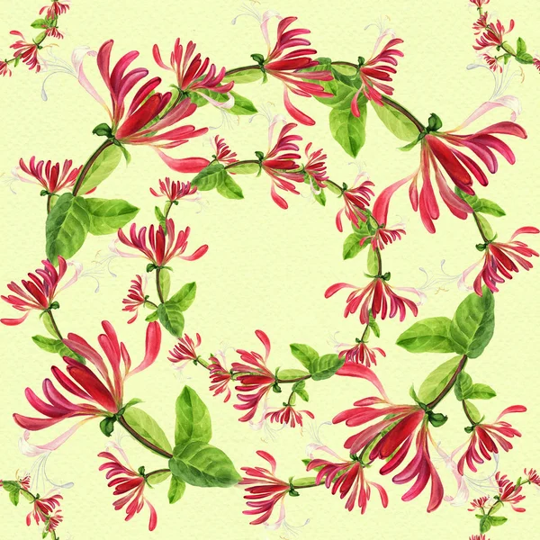 Honeysuckle - medicinal, perfumery and cosmetic plants. Watercolor. Seamless pattern. Wallpaper. Flowers and leaves. — Stock Photo, Image