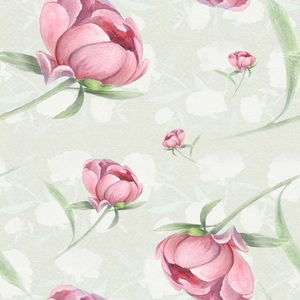 Pünkösdi rózsa - virágok és levelek. Dekoratív kompozíció egy akvarell háttér. Virág motívumokkal. Varrat nélküli mintát. — Stock Fotó