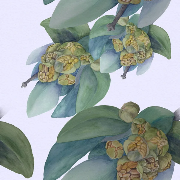 Jojoba. Aquarel. Bloemen en bladeren. Bloemmotieven. Naadloze patroon. — Stockfoto