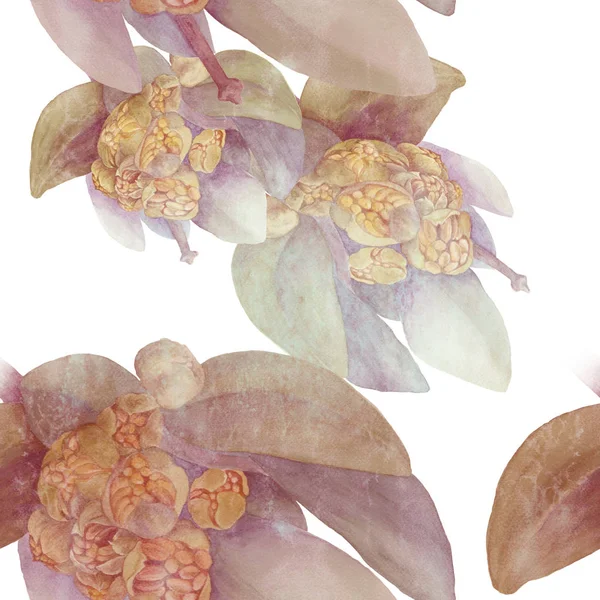 Jojoba. Aquarel. Bloemen en bladeren. Bloemmotieven. Naadloze patroon. — Stockfoto