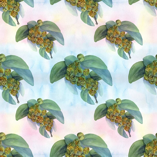 Jojoba. Watercolor. Flowers and leaves.  Floral motifs. Seamless pattern. — Stock Photo, Image