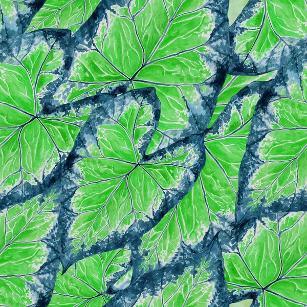 Leaves.Hosta διακοσμητική σύνθεση - φυτικά στοιχεία. Φλοράλ μοτίβα. Χωρίς ραφή πρότυπο. — Φωτογραφία Αρχείου