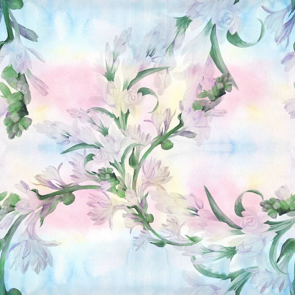 Tuberose - ágak. Virágok - akvarell rajz. Varrat nélküli mintát, illatszer- és kozmetikai gyógynövények. — Stock Fotó