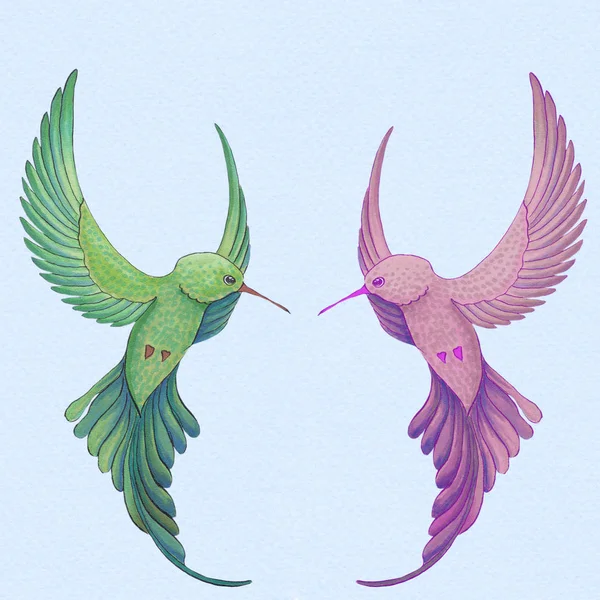 Aves de colibríes. Dibujo con acuarela. Fondo de pantalla. Aislado . — Foto de Stock
