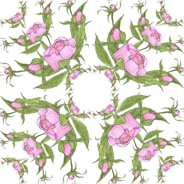Pioner - blommor och blad. Dekorativa sammansättning på en akvarell bakgrund. Blommotiv. Seamless mönster. — Stockfoto