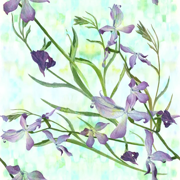 Цветы и ветви - седины. Маттиола инкана. Бесшовный рисунок . — стоковое фото