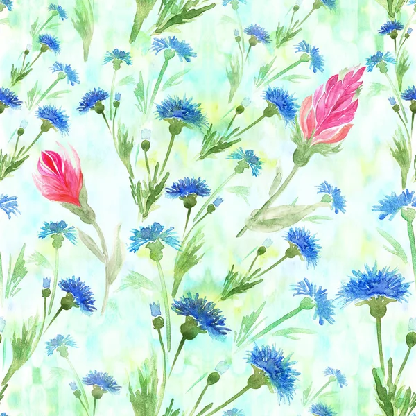 ヤグルマギクの花。水彩画薬用、香水および化粧品の植物.. — ストック写真