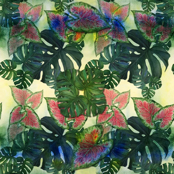 Grandi foglie di piante tropicali. Composizione decorativa su sfondo acquerello. Disegno ad acquerello . — Foto Stock