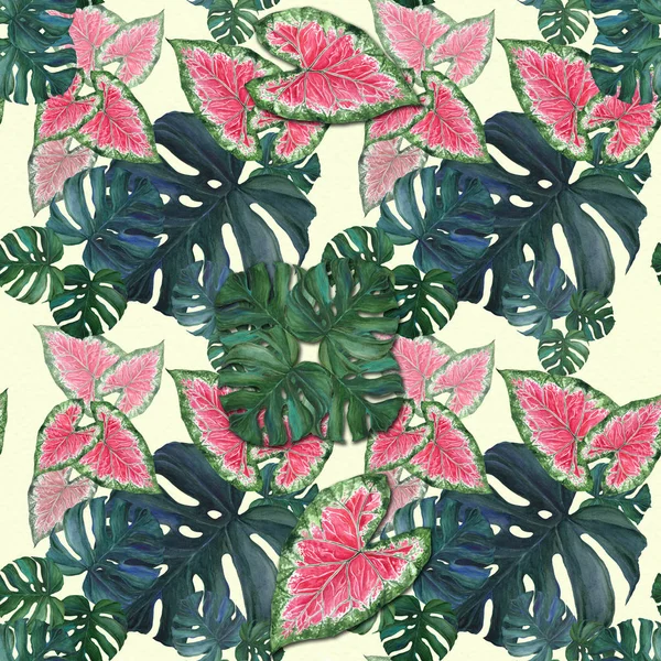 Stora blad av tropiska växter. Dekorativa sammansättning på en akvarell bakgrund. Akvarell-ritning. — Stockfoto