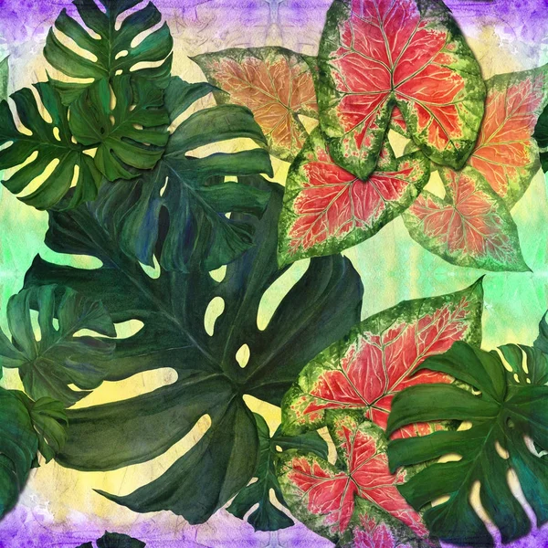 Grandes folhas de plantas tropicais. Composição decorativa em um fundo aquarela. Desenho aquarela . — Fotografia de Stock