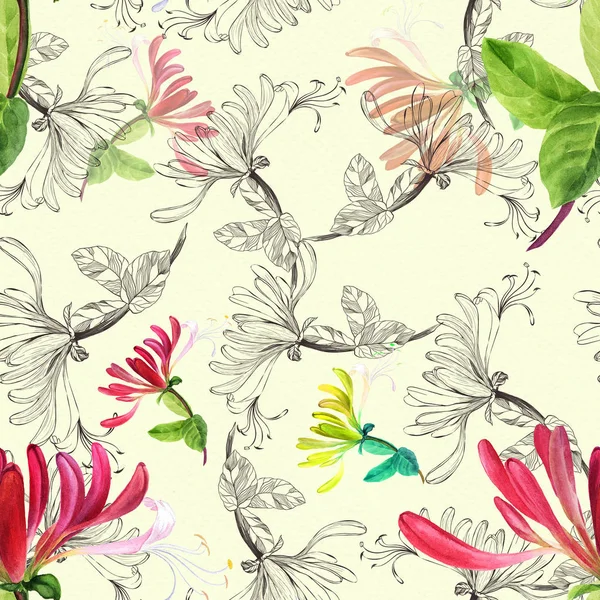 Una Flor Una Madreselva Composición Decorativa Motivos Florales Patrón Sin —  Fotos de Stock