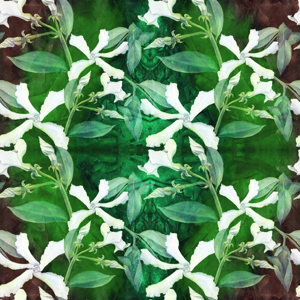 Жасмин - квіти, бутони, листя. Безшовний фон. Колаж з квітів на акварельному фоні — стокове фото
