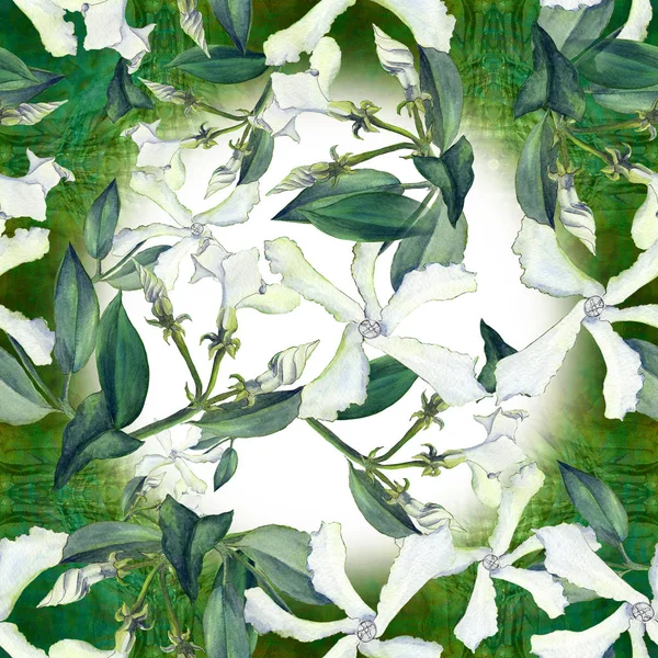 Γιασεμί - λουλούδια, μπουμπούκια, φύλλα. Απρόσκοπτη υπόβαθρο. Κολάζ από λουλούδια σε ακουαρέλα φόντο — Φωτογραφία Αρχείου