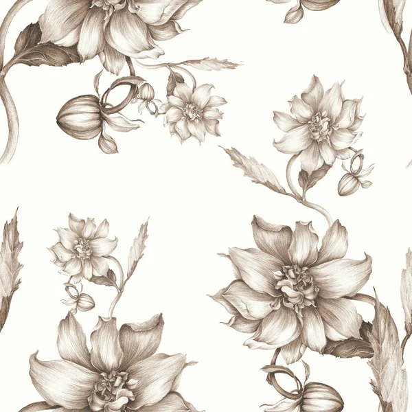 Nahtloser Hintergrund. Dahlie ist eine Blume und eine Knospe. — Stockfoto