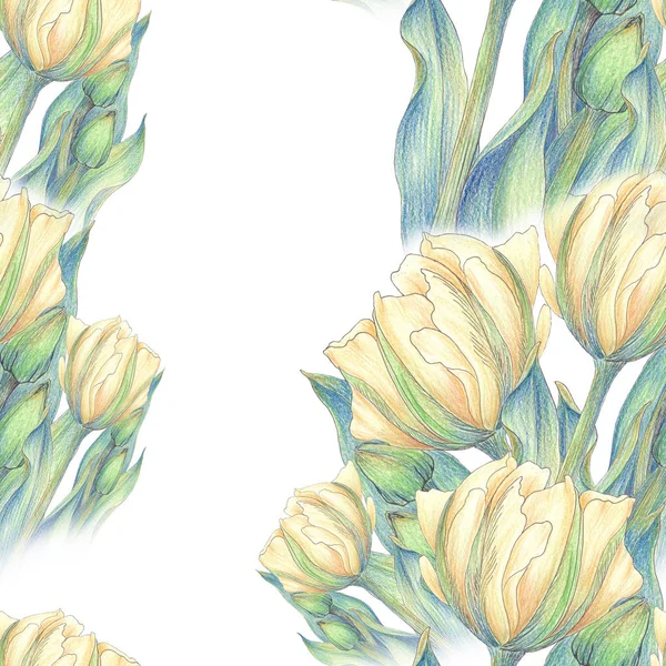 Tulip - összetétele virágok. Tavaszi virágok. Varrat nélküli mintát. — Stock Fotó
