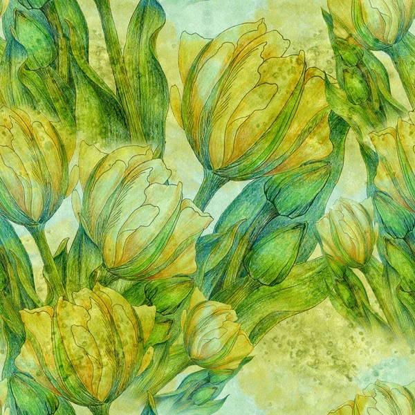 Tulipano - una composizione di fiori. Primavera flowers.Seamless modello . — Foto Stock