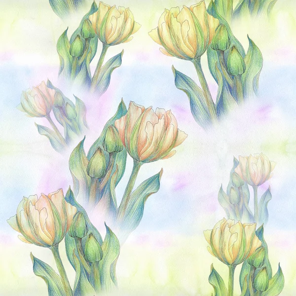 Tulipano - una composizione di fiori. Primavera flowers.Seamless modello . — Foto Stock