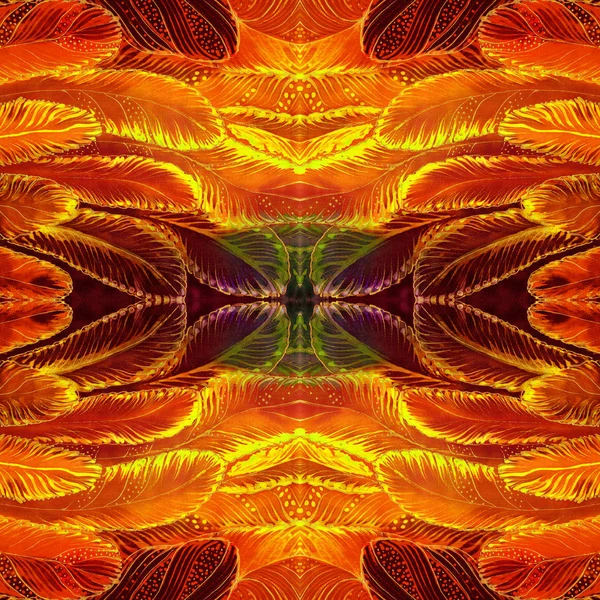 Vzor Bezešvé Peří Dekorativní Kompozice Barevné Peří Batika Tapety Používat — Stock fotografie