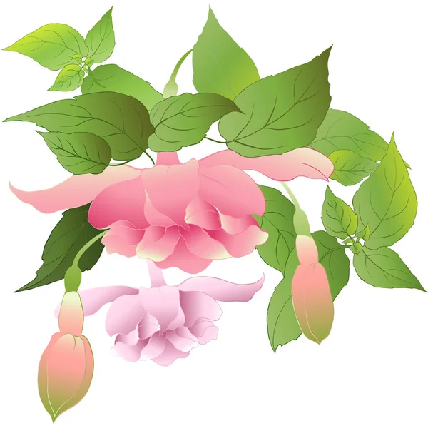 Διάνυσμα Μοτίβο Φούξια Διακοσμητική Σύνθεση Από Λουλούδια Μπουμπούκια Και Φύλλα — Διανυσματικό Αρχείο