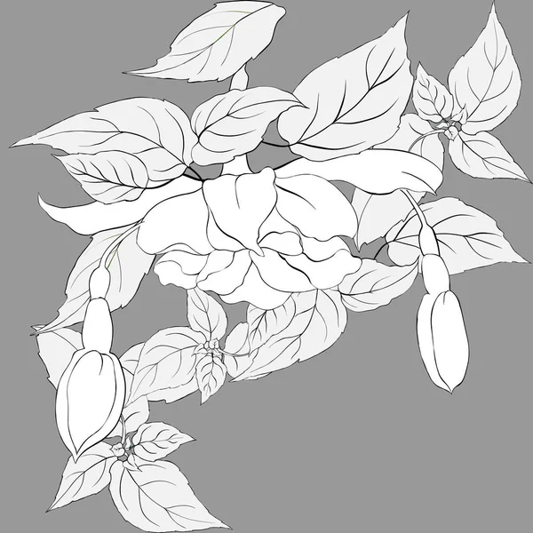 Vecteur Fuchsia Composition Décorative Fleurs Bourgeons Feuilles Papier Peint Utiliser — Image vectorielle