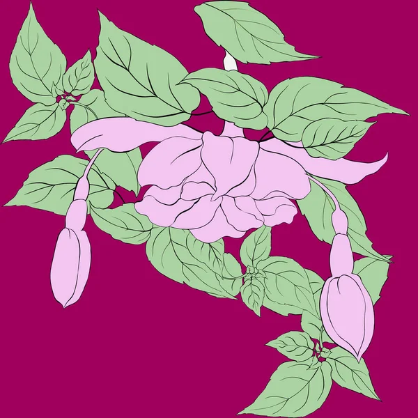 Vector Pattern Fuchsia Decorative Composition Flowers Buds Leaves Wallpaper Use — Stock Vector