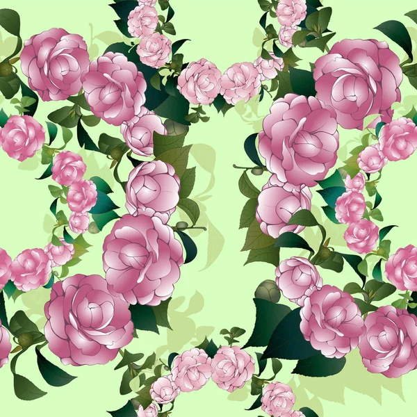 Fond vectoriel. Camellia - fleurs et feuilles. Modèle sans couture . — Image vectorielle