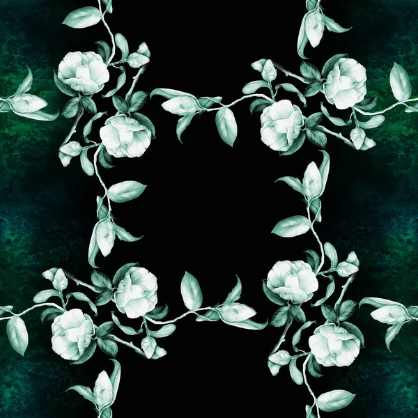 Camélia - flores, botões e folhas - em um fundo aquarela. . — Fotografia de Stock