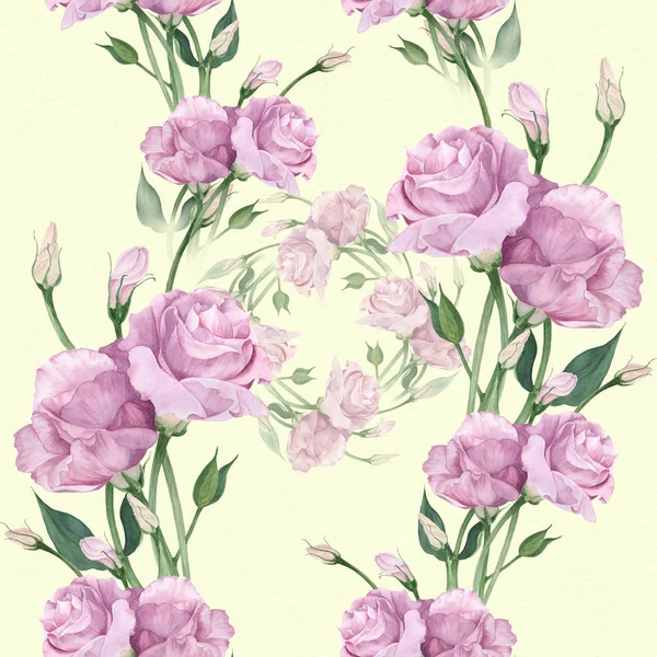 Eustoma - kwiaty i pąki. Kolaż kwiatów, liści i pąków — Zdjęcie stockowe